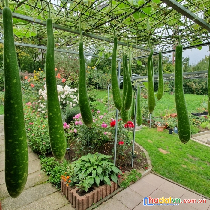 Cần tìm chủ mới cho mảnh đất 40x50 của tôi ở định quán ngay hồ trị an nơi đông dân cư lh.0918.19.49.62