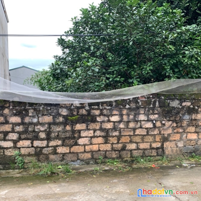 Bán 155m2 đất thuỷ xuân tiên, hoà sơn,  chương mỹ 8m tiền ô tô 16 đỗ