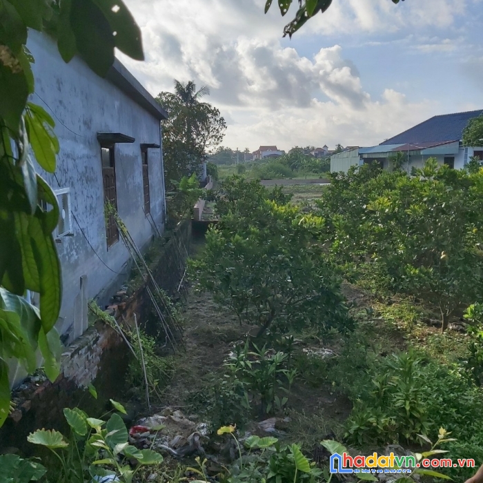 Tôi chính chủ cần bán lô đất đẹp tại thôn tường vu, xã cộng hòa, huyện kim thành, hải dương