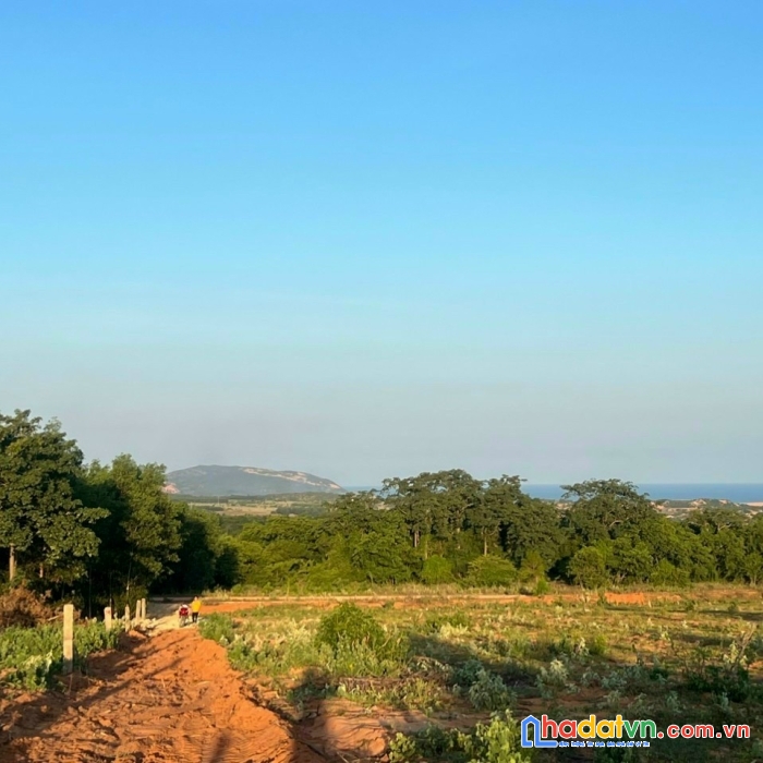 Muốn gần biển mà giá hời thì tấp vào đây nghe quí vị!!!!!!!!!!