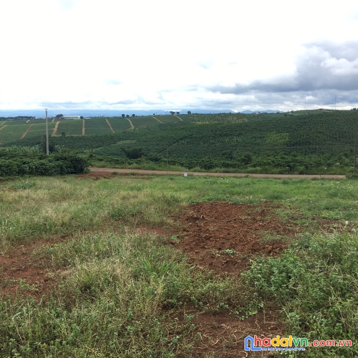 Đất sào thổ cư, gần nút cao tốc, 3tr/m2