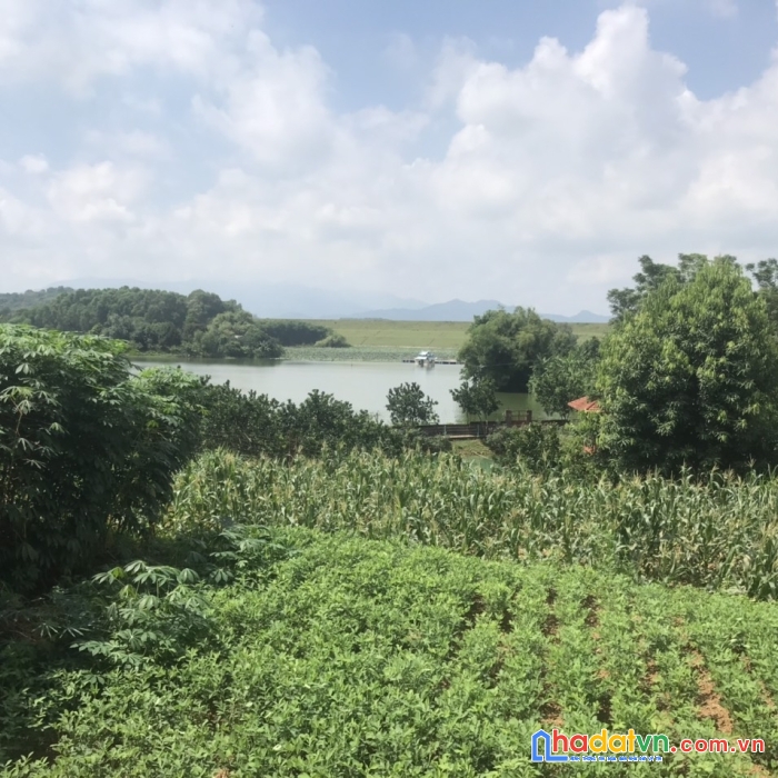 Bán nhanh mảnh đất full thổ cư giá hơn 800tr tại sơn tây đường ô tô vào tận đất viu hồ sen sổ hồng