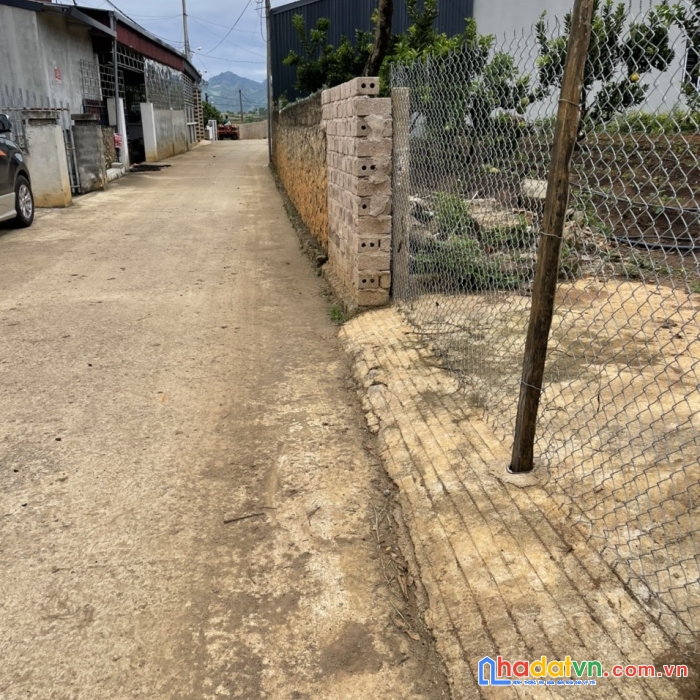 Mộc châu- tiểu khu vườn đào, tt nông trường