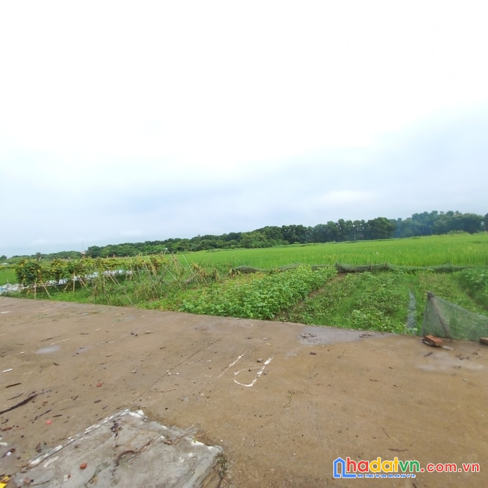 Em mở bán siêu phẩm xuân bách - quang tiến - sóc sơn - hn.