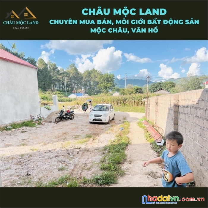 Đất chính chủ cần bán tại rừng thông mộc châu