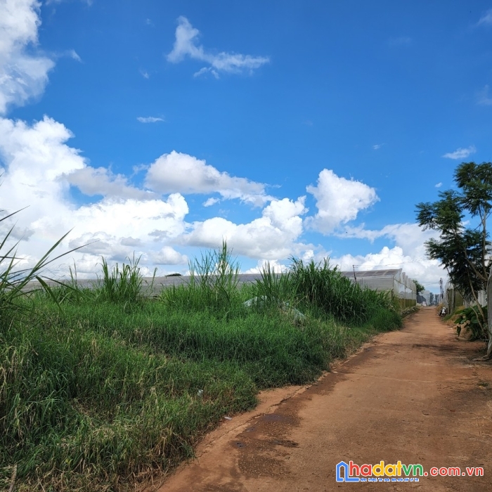 Cần tiền bán gấp nhà giá rẻ 2.3 tỷ đường đặng thái thân, phường 3, đà lạt giá 2.3 tỷ