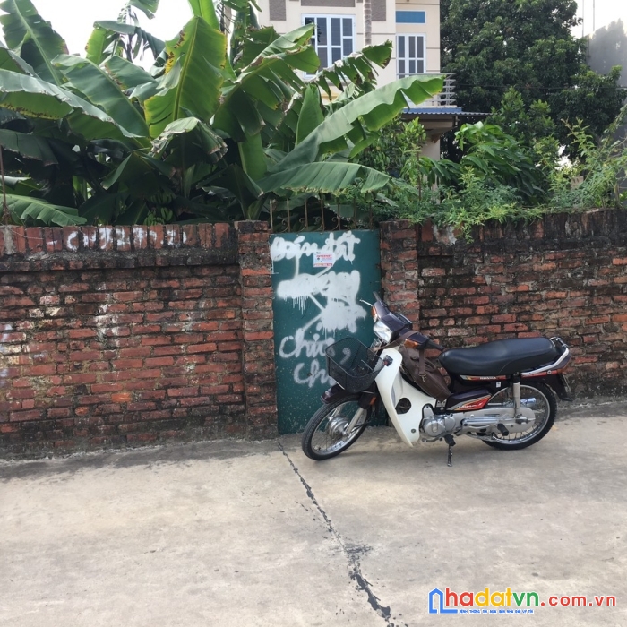 Trục chính kinh doanh đan tảo tân minh sóc sơn, giá chỉ 1x triệu, rẻ nhất thị trường. cam kết mua