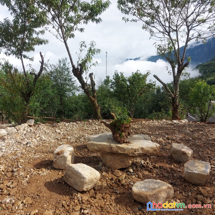 Bán đất mò phú chải đẹp vị trí đắc địa