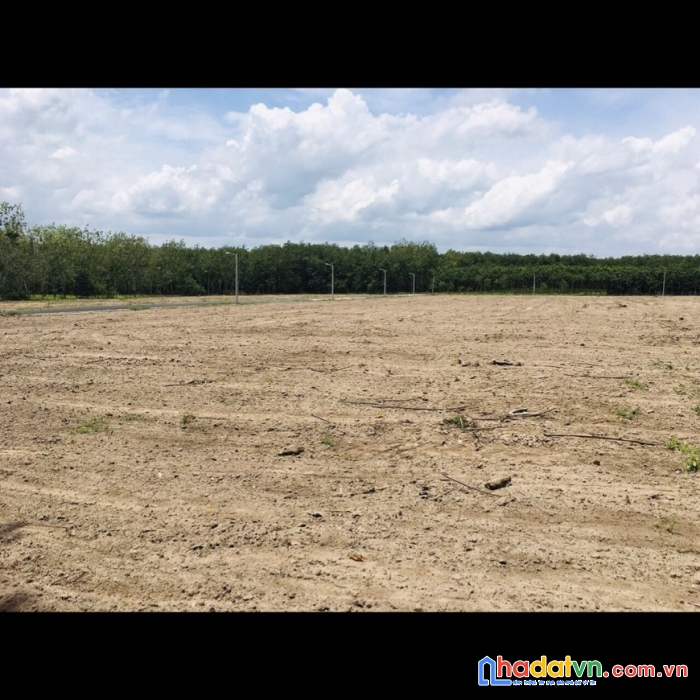 Trà sim - ninh điền - tây ninh 350m2 chỉ 520tr