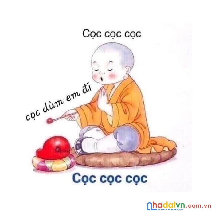 Chính chủ cần bán 2 lô đất sổ hồng sẵn gần nhau như ảnh.