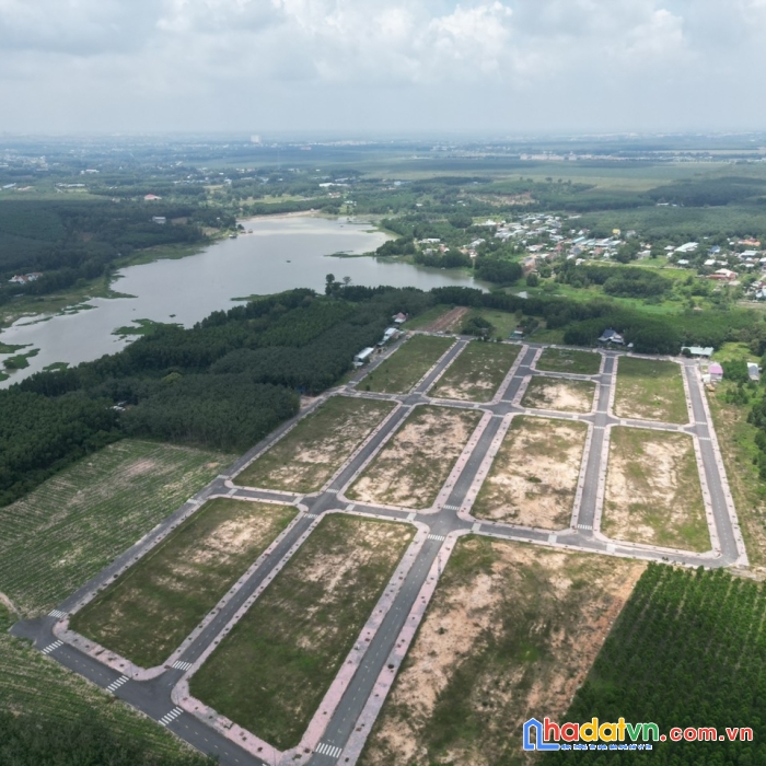 Kẹt tiền bán gấp lô long thành