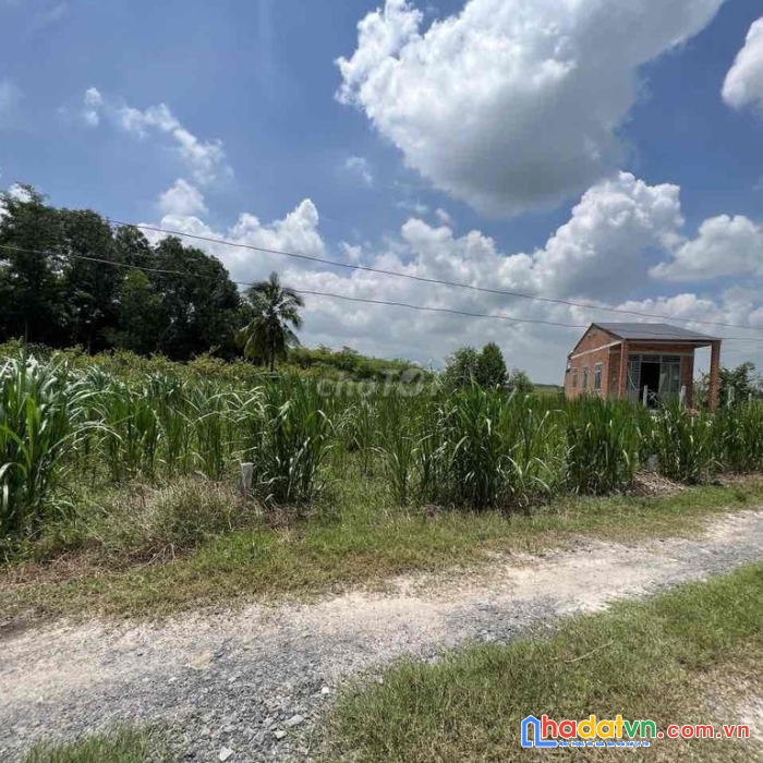 Chính chủ cần bán lô ngộp bán gấp 2 lô châu thành