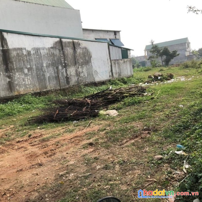 Bán nhanh lô đất giá đầu tư tại mặt đường 302 và 309 hoàng hoa tam dương vĩnh phúc  - lh -
