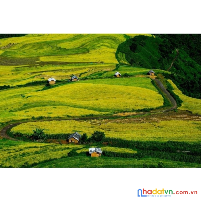 Đất nền y tý - bát xát - lào cai, đón sóng sân bay sapa, quy hoạch du lịch quốc gia