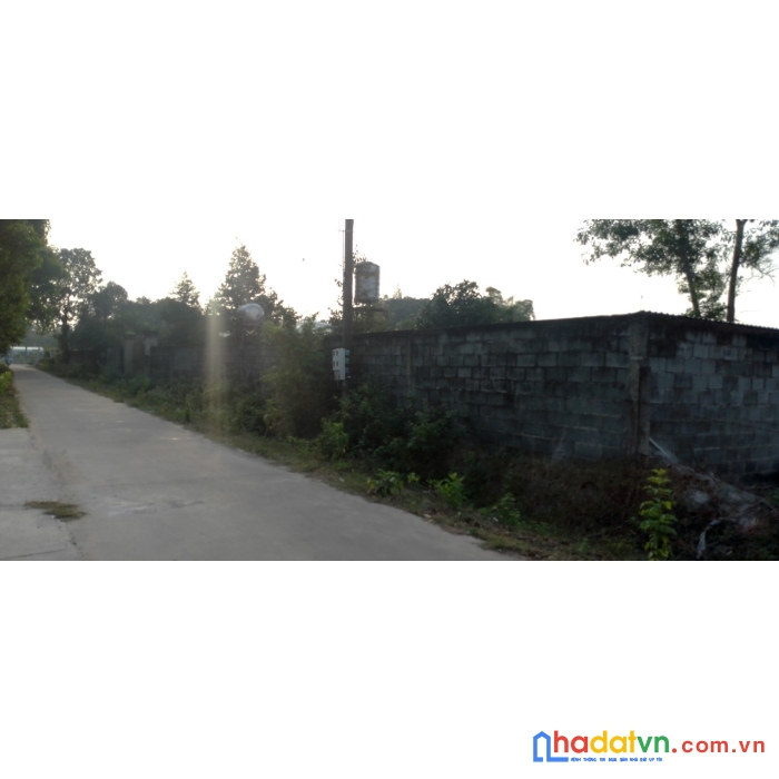 Bán đất sân bay long thành cho nhà đầu tư