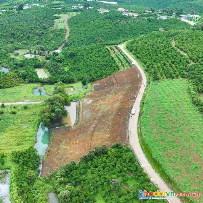 Đất vàng bảo lộc - lâm đồng, giá f0 & nh hỗ trợ 60% cho các nhà đầu tư