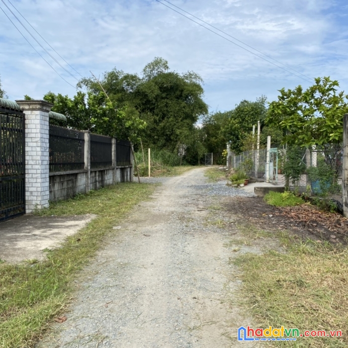 Bán nhanh đất vườn 600m2 có 100m2 thổ cư, nguyễn thị nê, phú hòa đông.