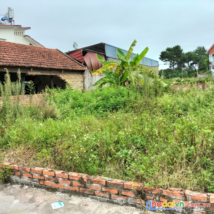 Đất phân lô 68.1m2 tại thái lai-minh trí-sóc sơn-hn, đường oto vào đất, đã có sổ đỏ