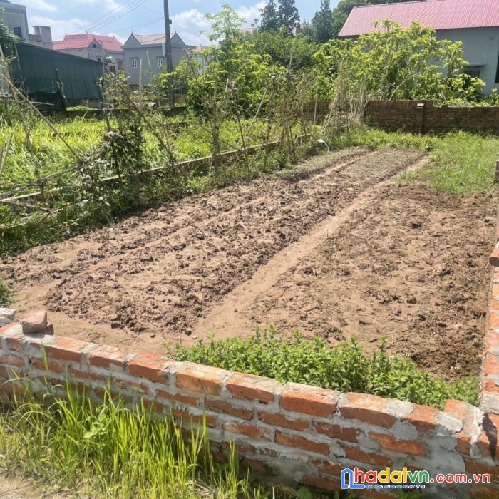 72m2 đối diện khu đấu giá bắc thượng-quang tiến-sóc sơn-hn. đường 10m, giá lại rẻ