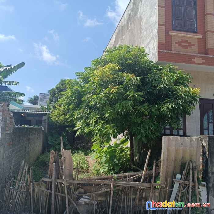 Tdp ninh hải anh dũng dương kinh 1,8tỷ