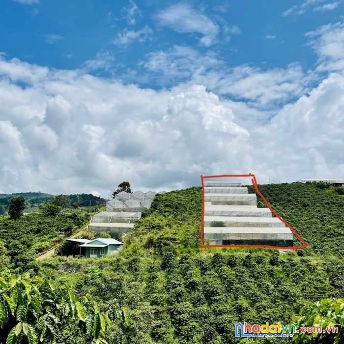 Kẹt tiền giảm giá bán gấp lô đất rộng view đẹp tại tà nung, đà lạt 2514m2 giá tốt chỉ 4.35 tỷ