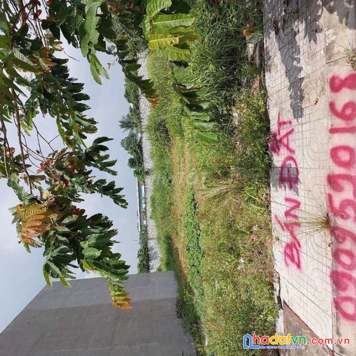 Chính chủ cần bán gấp lô đất tại quốc lộ 22, xã tân thông hội, huyện củ chi, tp hồ chí minh