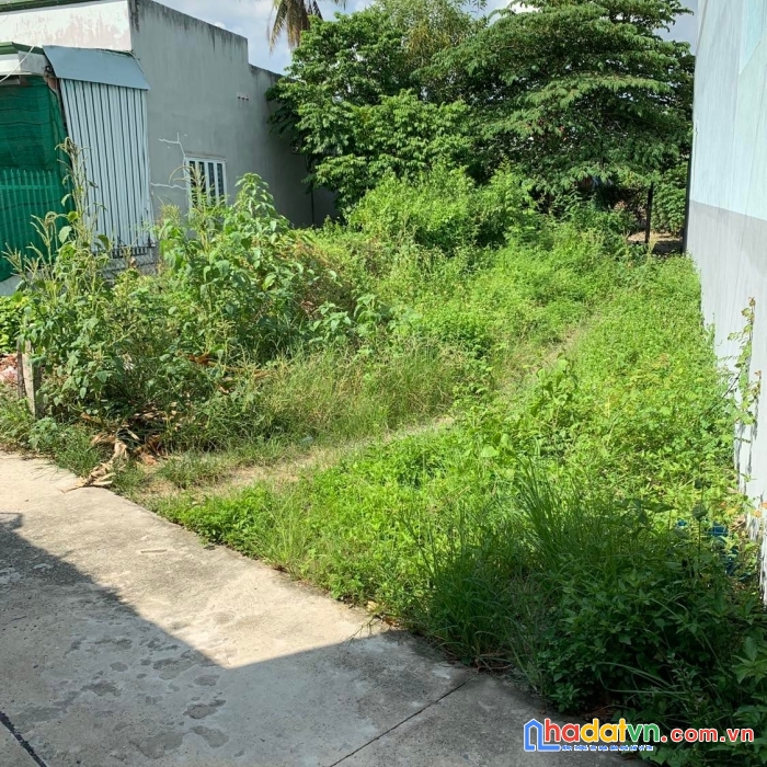 Bán gấp đất tại thành phố tây ninh