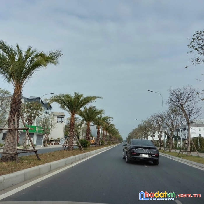 Bán đất việt hưng - long biên 
phân lô vỉa hè - ô tô dừng đỗ - kinh doanh
 đấc địa - đối diện