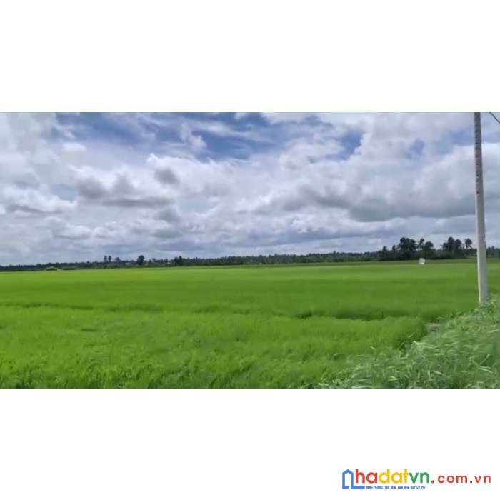 Chính chủ cần bán gấp lô tâm huyết  3000 m2(có 300m thổ cư)