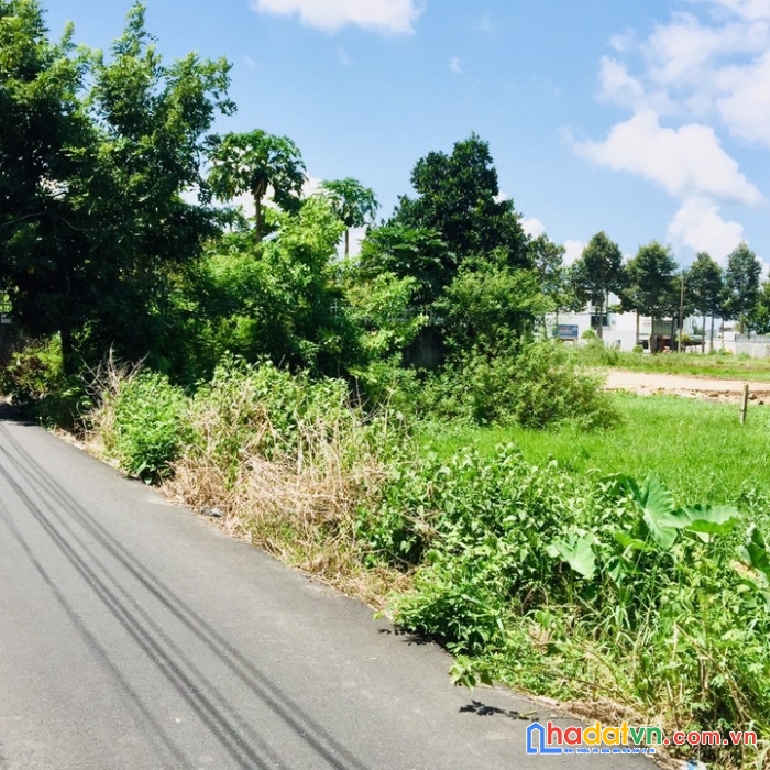 Bán lô đất 560m2 đường nhựa cách đường hùng vương vào 100m , hòa long bà rịa