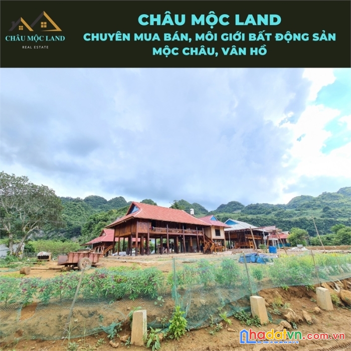 Cần bán đất bản áng - đông sang - mộc châu view cực đẹp
