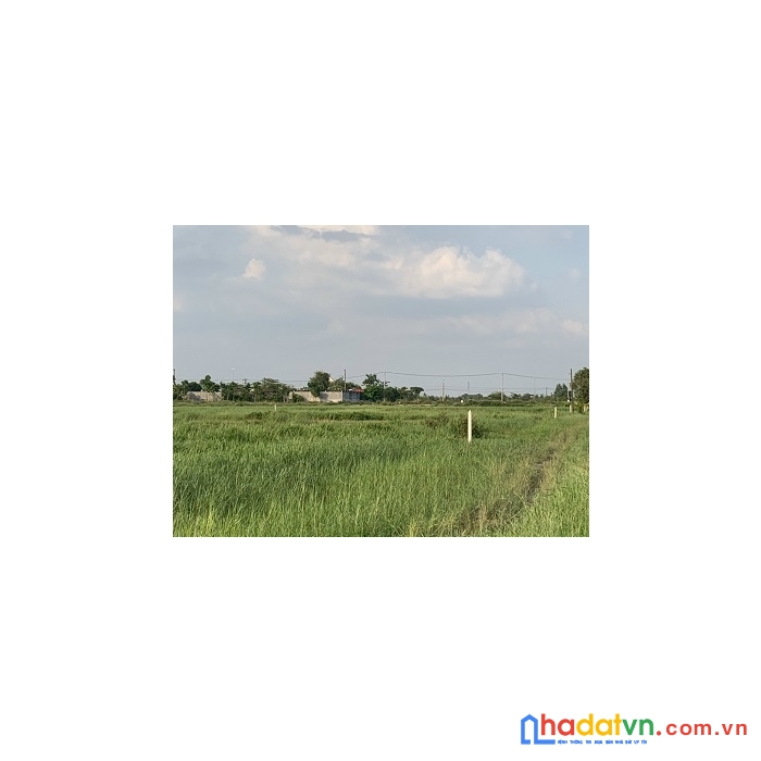 Chính chủ cần bán lô đất đẹp tại tân thạnh đông - củ chi cách chợ hóc môn 3km