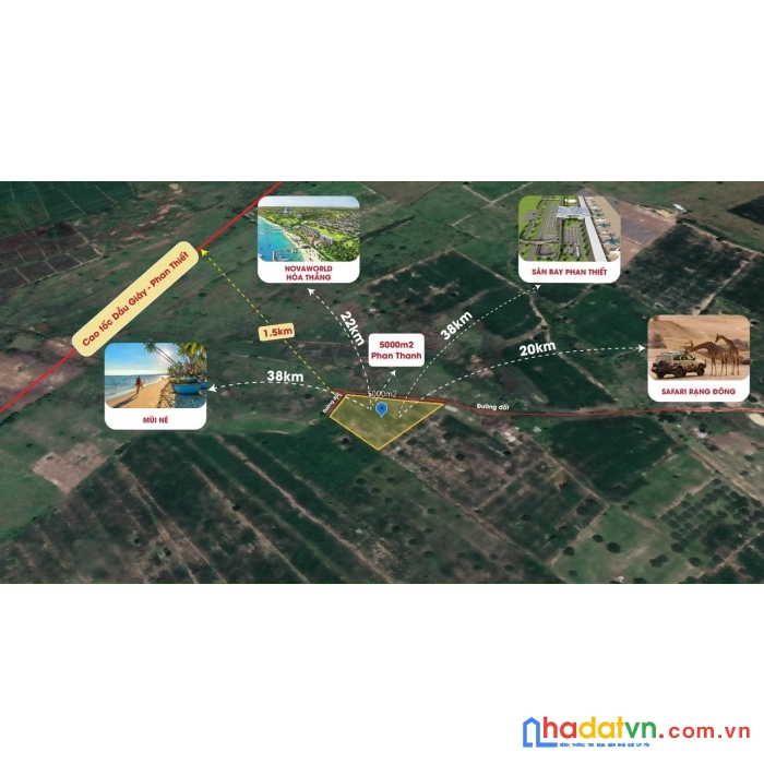 Thanh lý cụm đất trồng cây lâu năm hàm trí - hàm thuận bắc - bình thuận