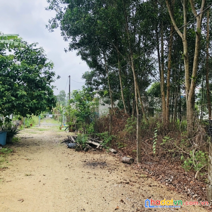 Cần bán lô đất 166m2 có thổ cư gần cổng tân hiệp xã phước thái, long thành chỉ 1,3 tỷ