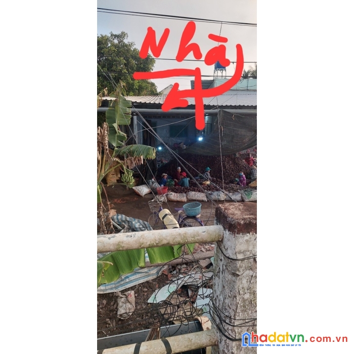 Chính chủ cần bán đất nhà vị trí đẹp tại vĩnh long