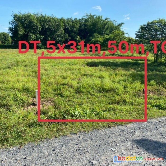 Bán đất phước an phước thạnh gò dầu