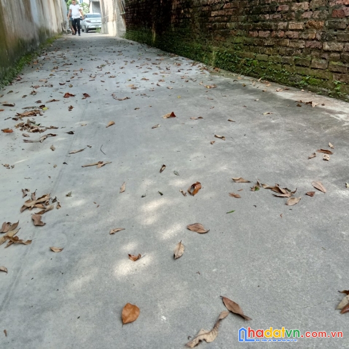 Cc gửi bán lô đất lâm thao, lương tài, bắc ninh, giá công khai 5.5 tr/m