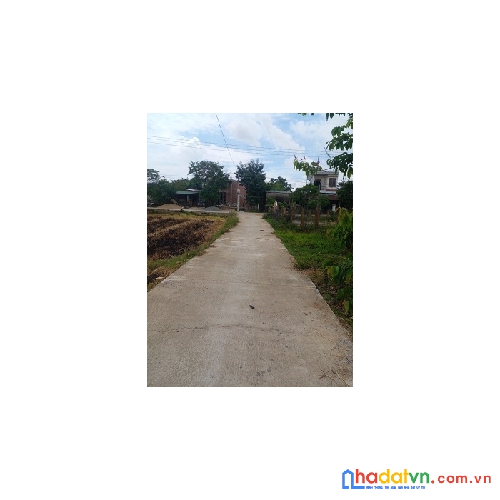 Cần bán đất tại thị xã điện bàn - tỉnh quảng nam