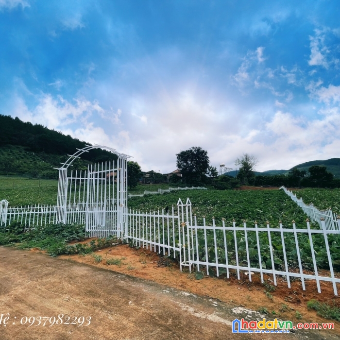 Đất đẹp dành cho nhà đầu tư - giá siêu ưu đãi - vị trí đẹp tại lâm hà - lâm đồng.