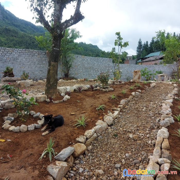 Siêu phẩm đất nền y tý đón sóng quy hoạch chi tiết 1/500..