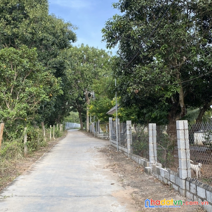  thiện nghiệp - sân bay - quy hoạch full thổ cư - sổ hiện đường - bán 2 tr/ m2