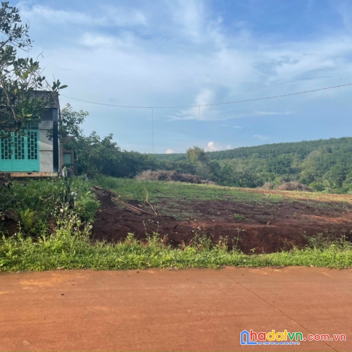 Sở hữu ngay lô đất đẹp vị trí đắc địa tại xã nghĩa trung, huyện bù đăng, bình phước