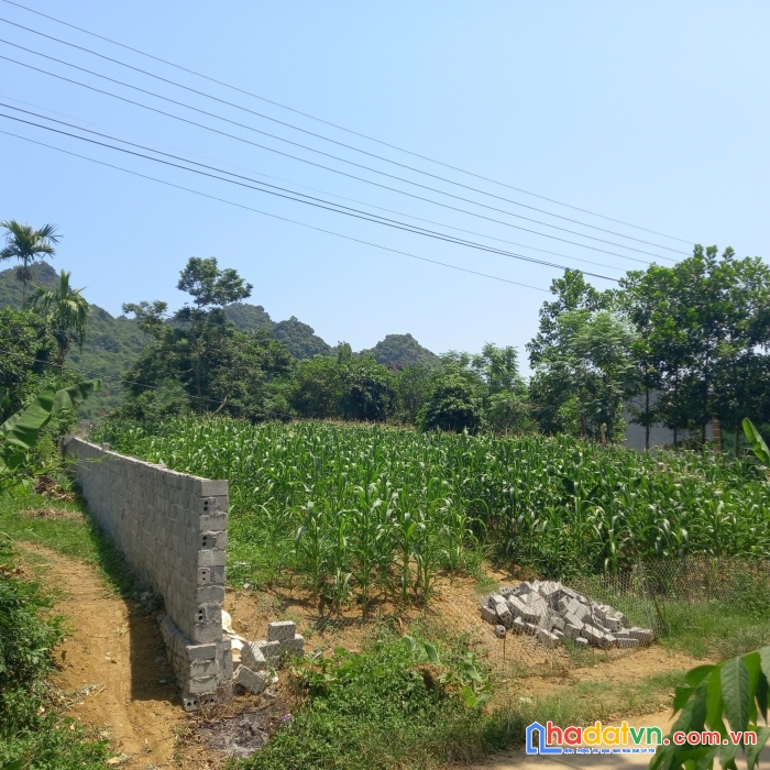 Bán đất cao dương,lương sơn,hb, 952m2, siêu đẹp,đường to, view đồng núi, gần ql21a, 1,9 tỷ