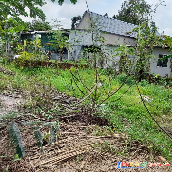 Chủ cần bán lô đất đường hộ bà nương, thị trấn lai vung, đồng tháp.