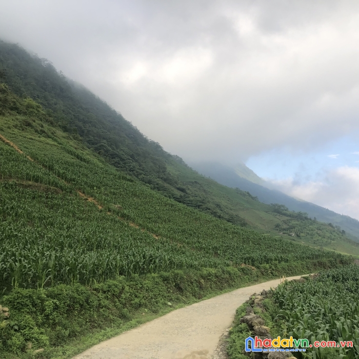 B án nhanh lô đất xã sử pán thị xã sapa 3486m2