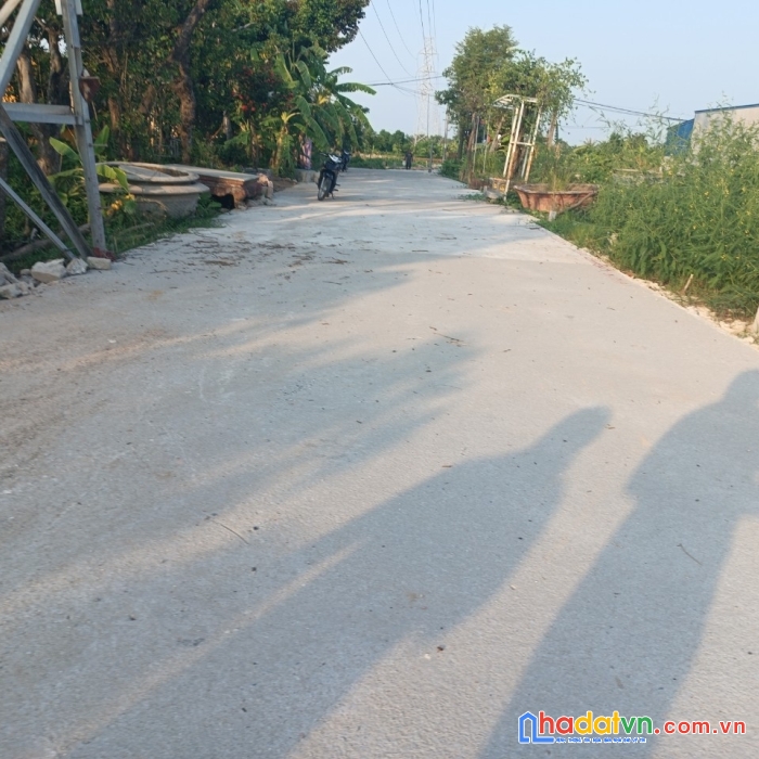 Tdp đề thám minh đức  đồ sơn hp  .980 tr