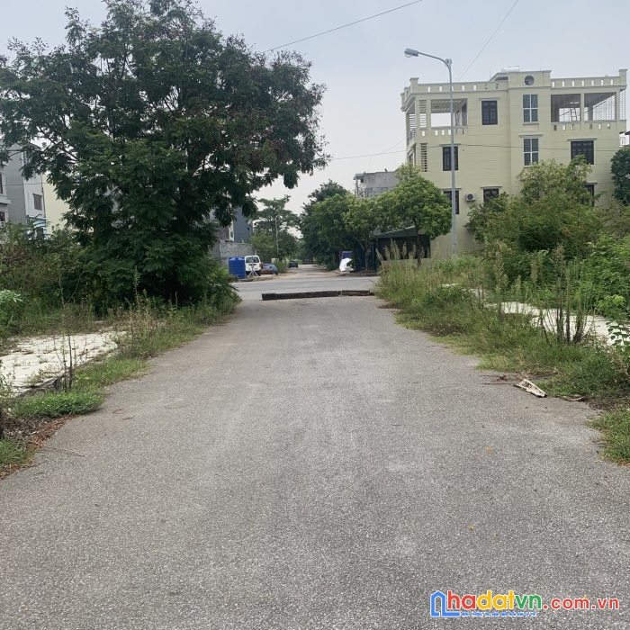 Em có mảnh đất anh dũng 6, dương kinh, hải phòng cần chuyển nhượng.