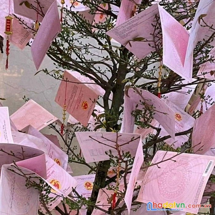 Cơ hội cho ace mua bán bđs tiếp tục với mong muốn sở hữu bđs