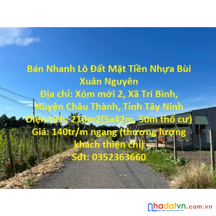 Bán nhanh lô đất mặt tiền nhựa bùi xuân nguyên