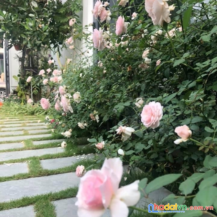 18 ngọc trì - thạch bàn, long biên - 150 m2 đất phân lô, đường 6 m . giá 90 triệu /m2 .